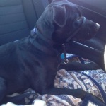 Tommy Boy Ryder Headed to Phoenix for the first time