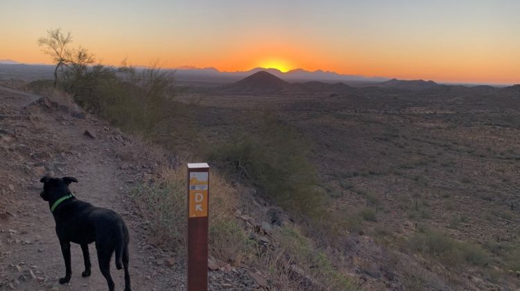 Sunrise on Dixie Mountain Loop trail - Phoenix, AZ